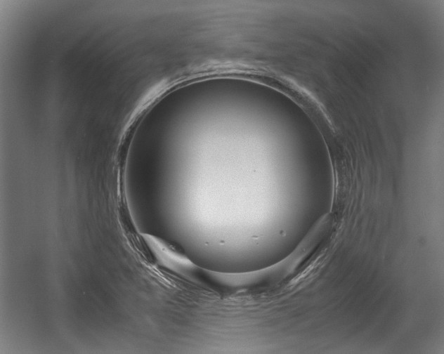 X0000057061365200509120837