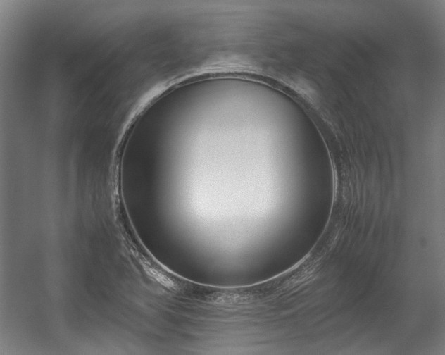 X0000057061366200509120837