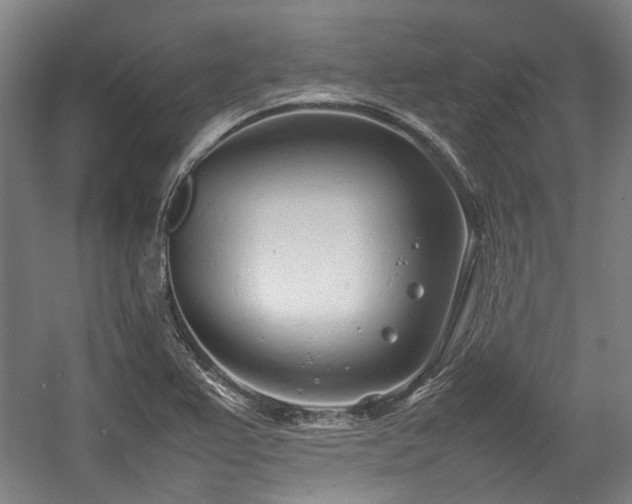 X0000057061367200509120837