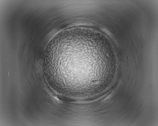 X0000057061369200509120837