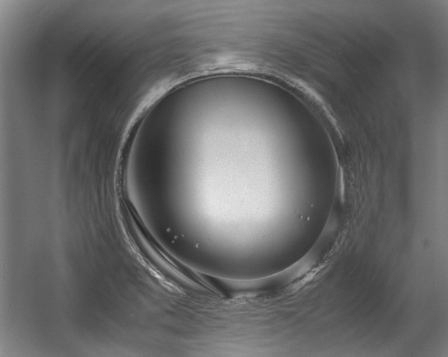 X0000057061373200509120837