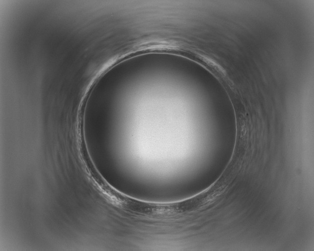 X0000057061375200509120837