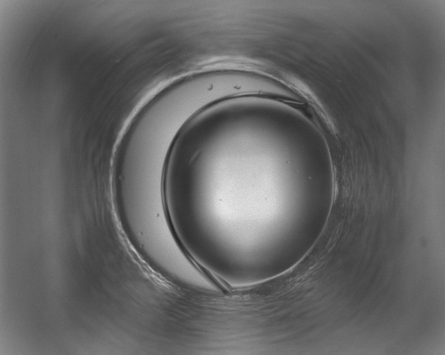 X0000057061376200509120837