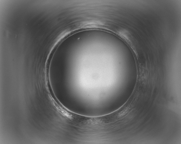 X0000057061384200509120837