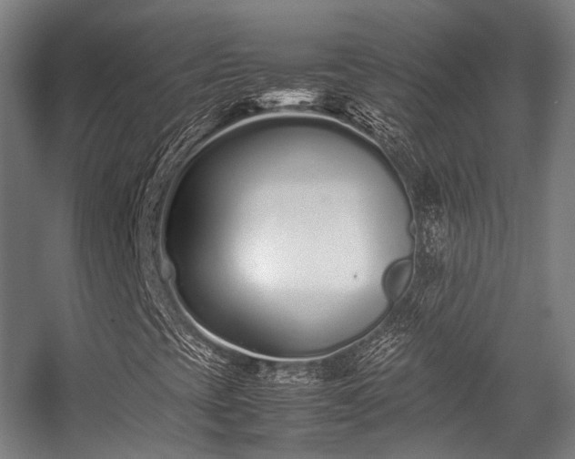 X0000057061393200509120836