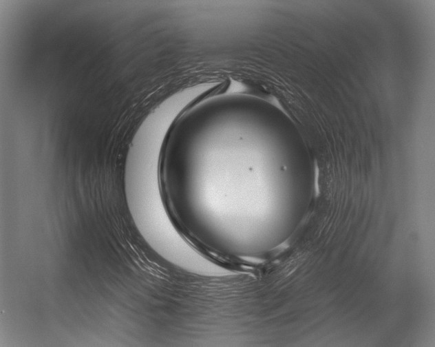 X0000057061394200509120836