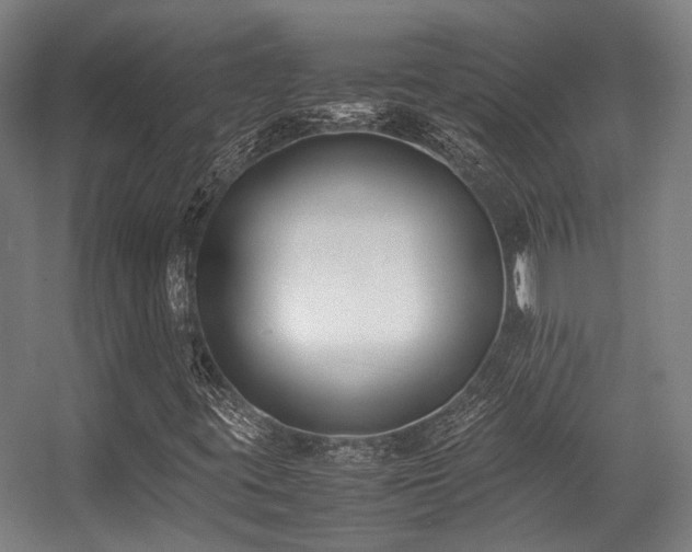 X0000057061395200509120836