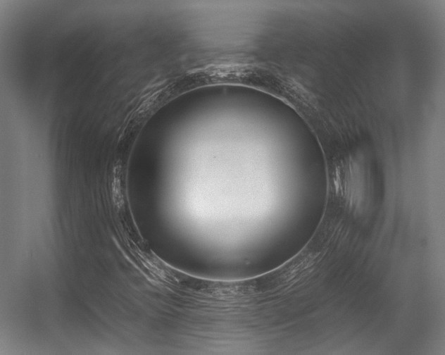 X0000057061396200509120836