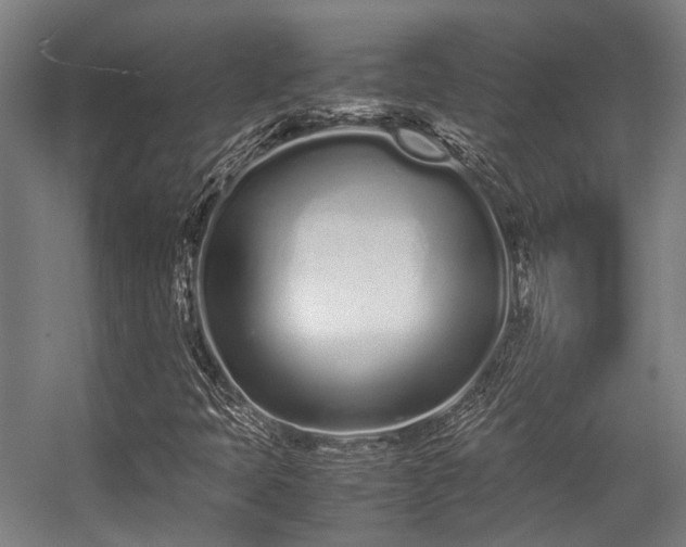 X0000057061397200509120836