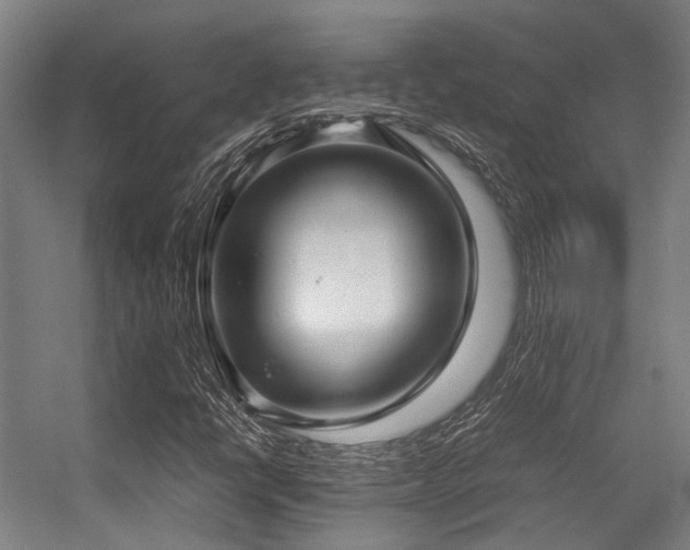 X0000057061398200509120836