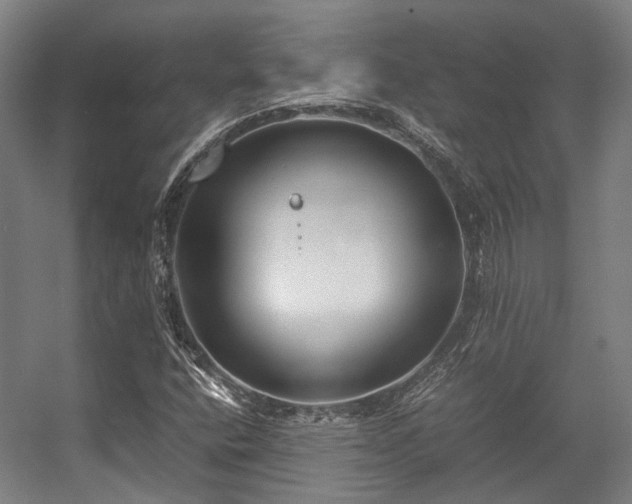 X0000057061400200509120836