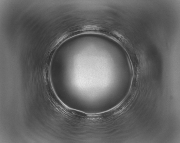 X0000057061401200509120836