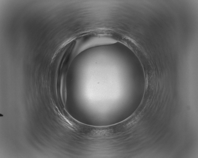 X0000057061402200509120836