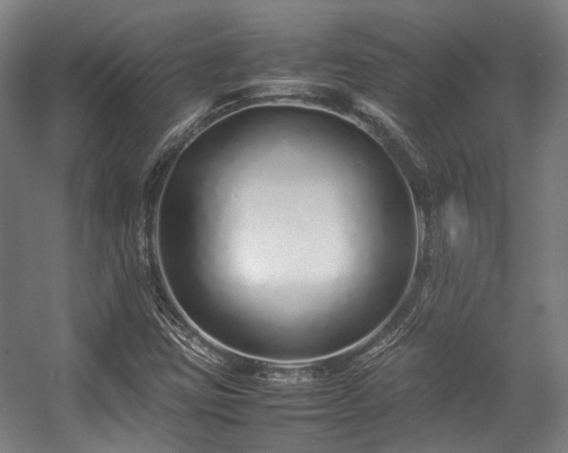 X0000057061403200509120836