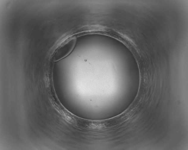 X0000057061407200509120836