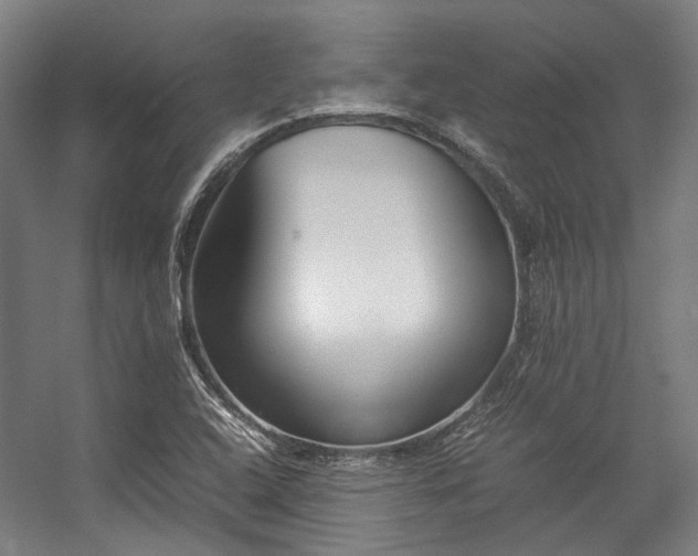 X0000057061408200509120836