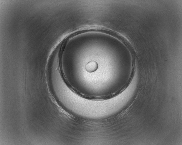 X0000057061414200509120836