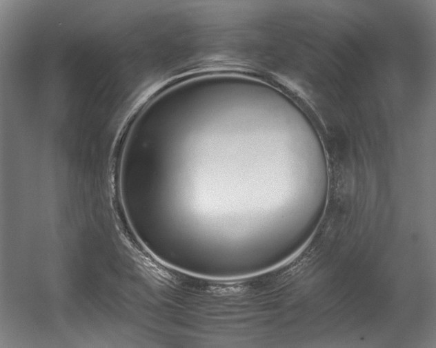 X0000057061415200509120836