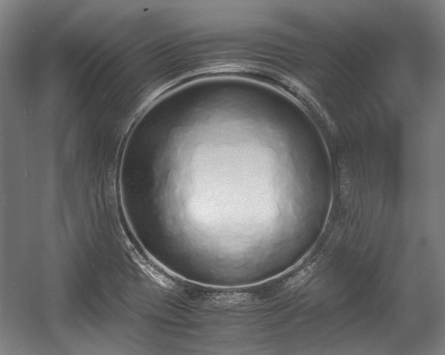 X0000057061417200509120836