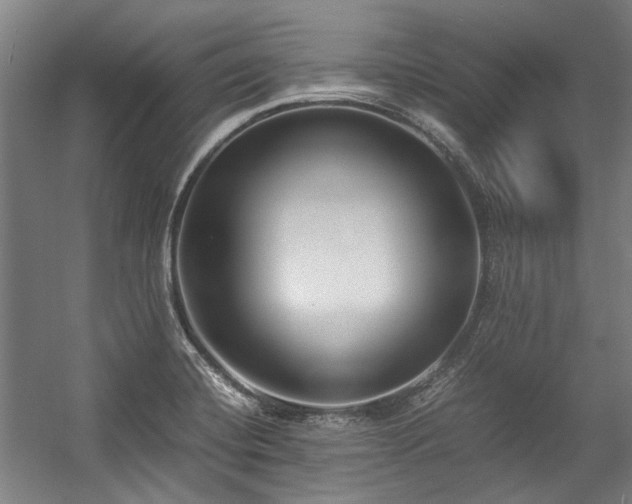 X0000057061420200509120836