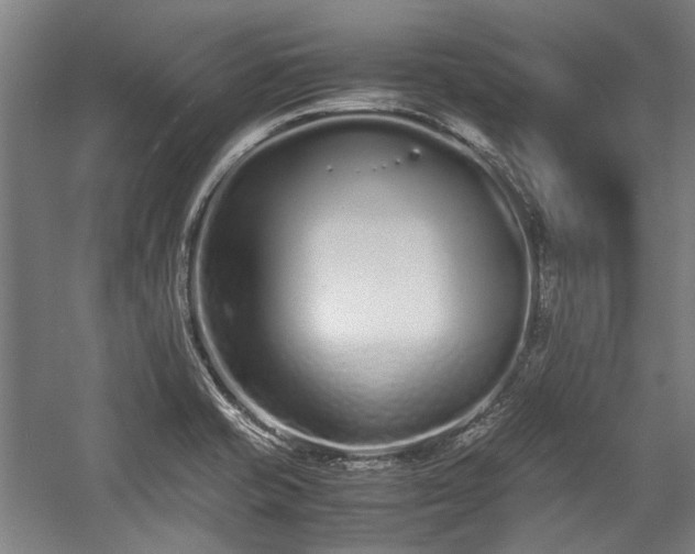 X0000057061421200509120836