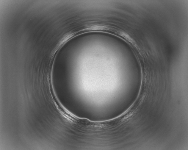 X0000057061425200509120836