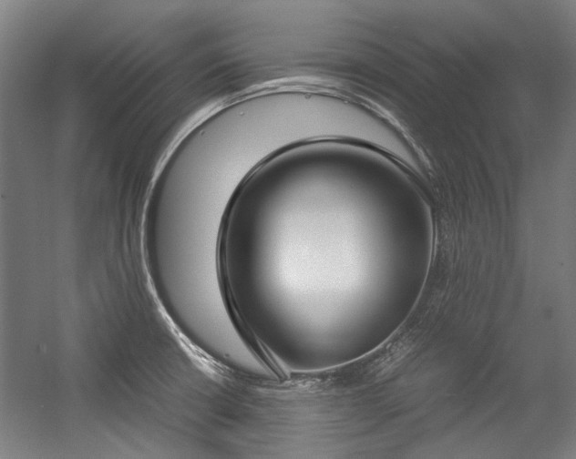 X0000057061426200509120836