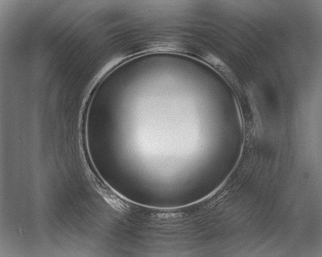 X0000057061427200509120836