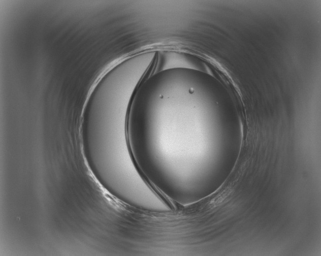 X0000057061434200509120837