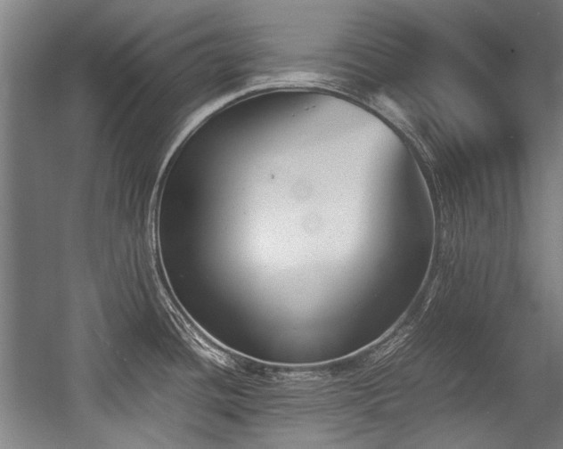 X0000057061436200509120837