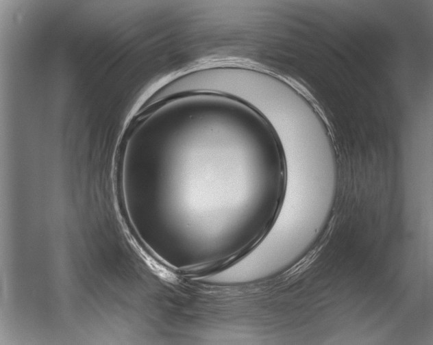 X0000057061438200509120837