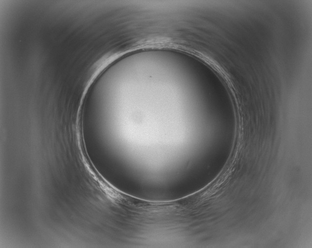 X0000057061440200509120837