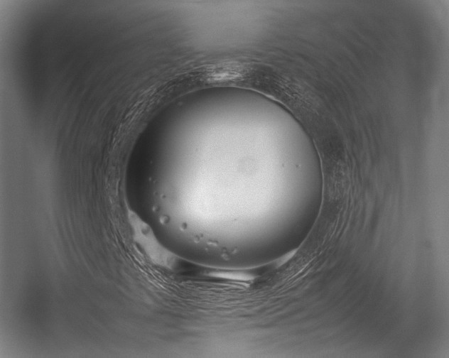 X0000057061441200509120836