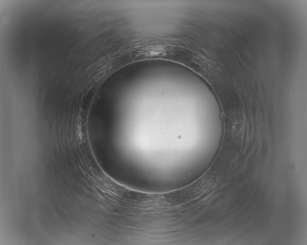 X0000057061442200509120836