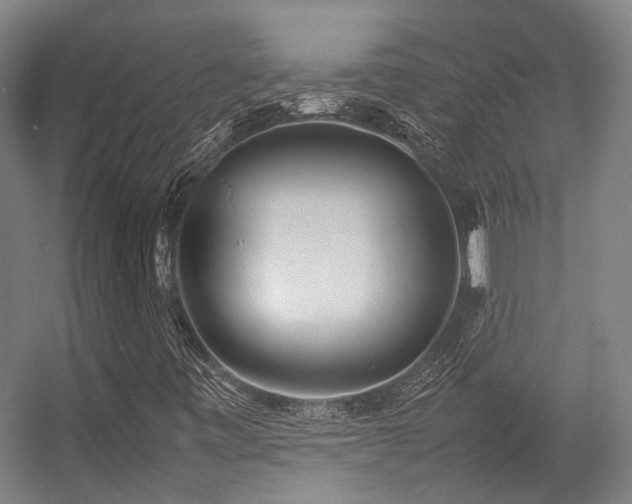 X0000057061443200509120836