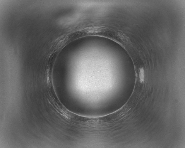 X0000057061444200509120836