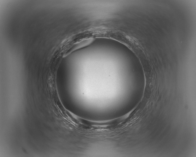 X0000057061445200509120836