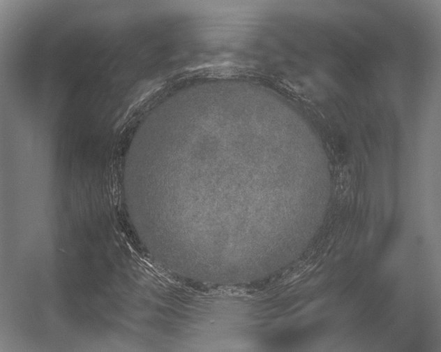 X0000057061446200509120836