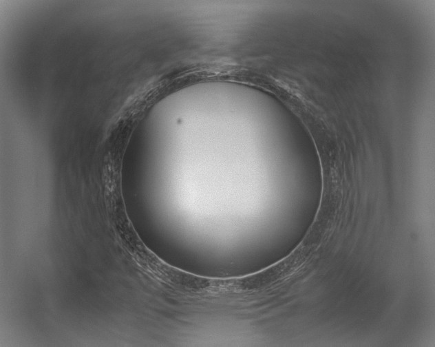 X0000057061447200509120836