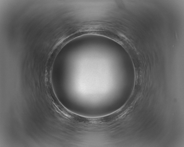 X0000057061449200509120836