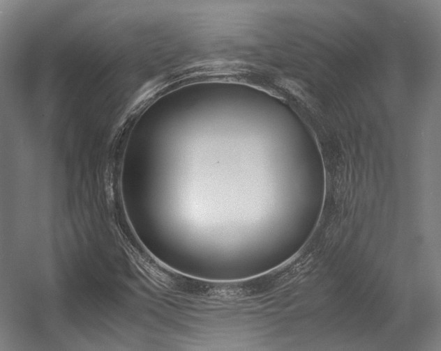 X0000057061451200509120836