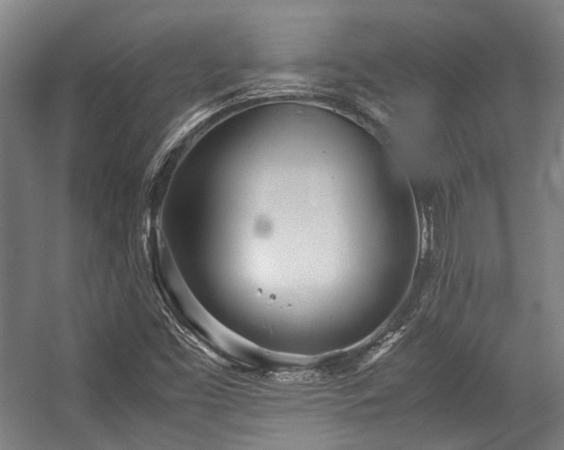 X0000057061453200509120836