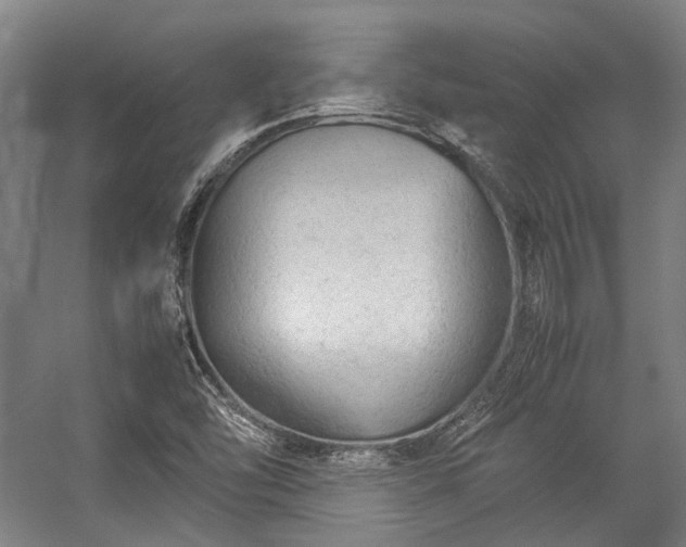 X0000057061454200509120836