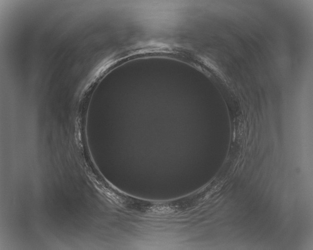 X0000057061455200509120836