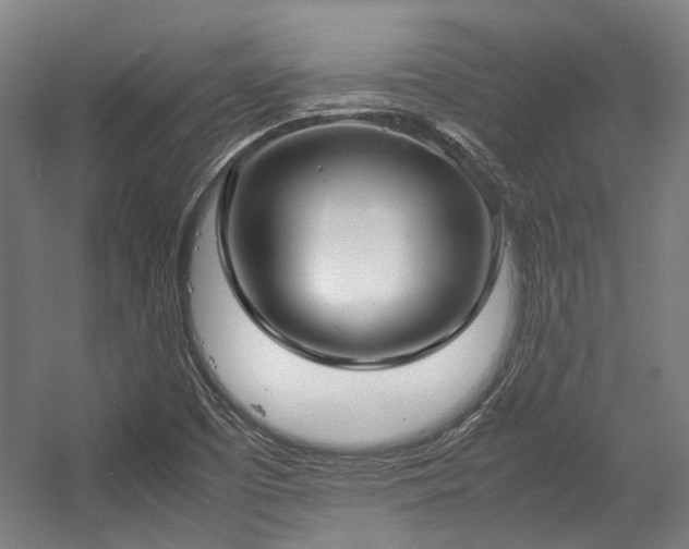 X0000057061457200509120836