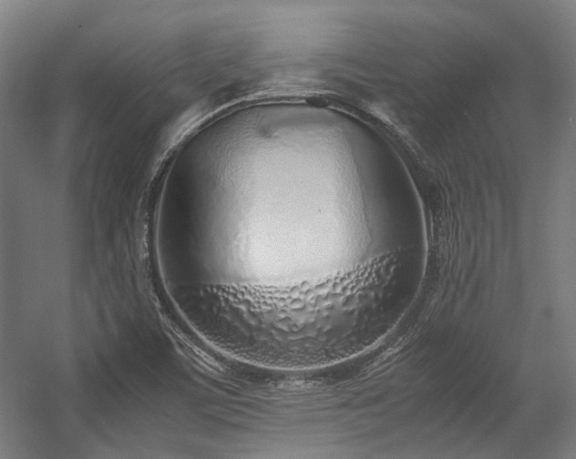 X0000057061459200509120835