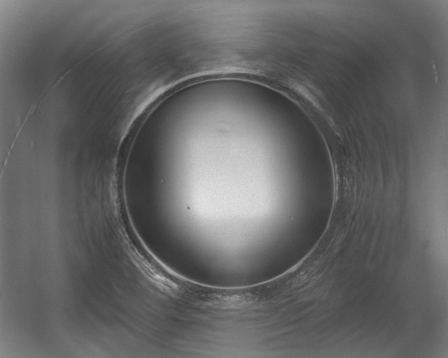 X0000057061460200509120835