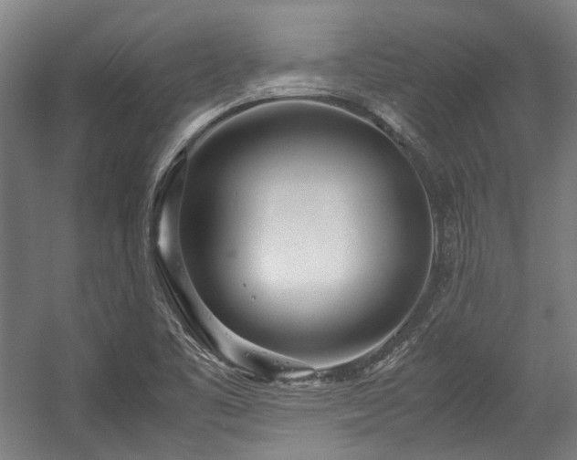 X0000057061461200509120835