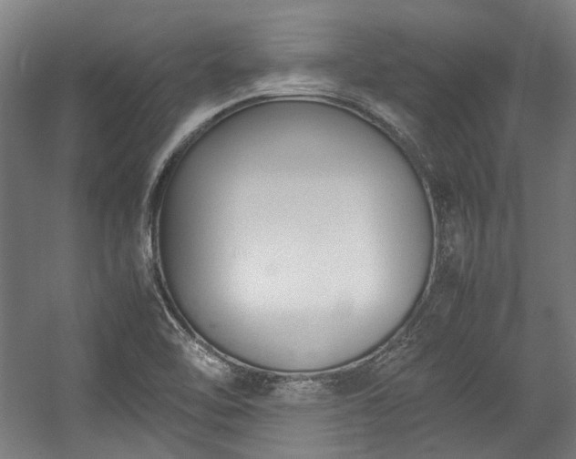 X0000057061462200509120835