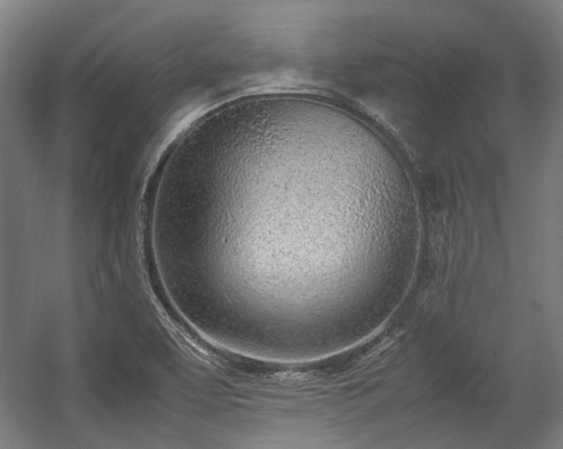 X0000057061463200509120835